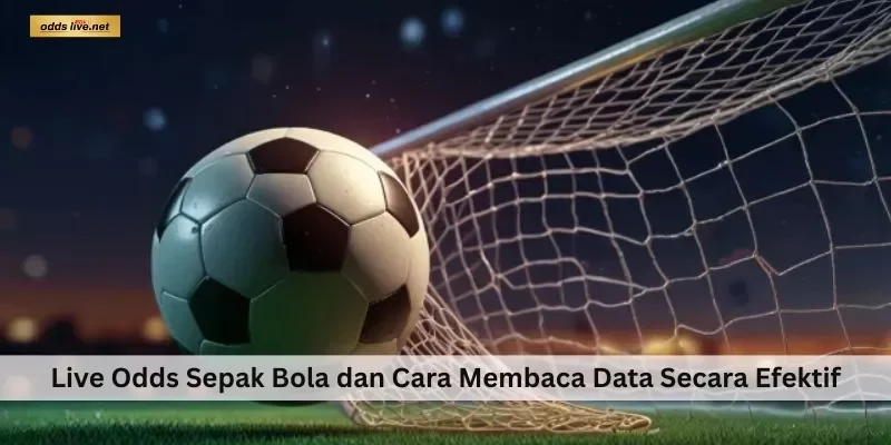 Home 51 Live Odds Sepak Bola dan Cara Membaca Data Secara Efektif